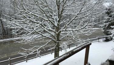 Deutsches Haus - Appartement - Photo 5