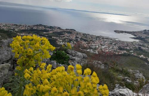 Apartments Babic - Photo 15