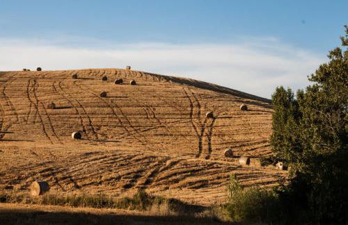 mulino della rivolta - Foto 13