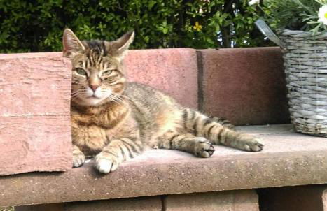 Ferienwohnung Luise, gemütlich, freundlich und ganz nah an Berlin - Foto 40