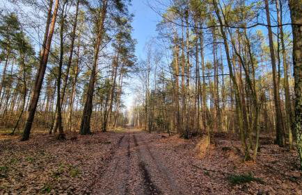 Mazurska Zatoka Resort & Spa - Apartamenty nad jeziorem z prywatną plażą i podgrzewanym basenem zewnętrznym, Mazury w rytmie SLOW - Foto 65