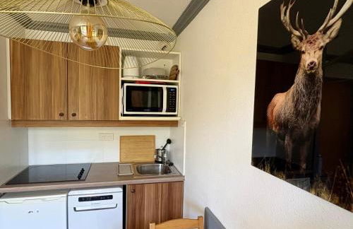 Les Bergers - Piscine Sauna - Foto 9