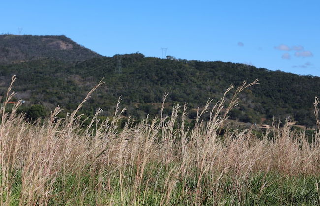 Fazenda Santa Amalia - Foto 70