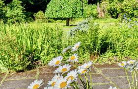 Luxury Shepherds Hut on Powis House Estate - Foto 27
