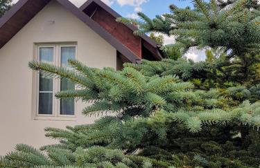 Bocianie Gniazdo - Domek do wynajęcia Pluski - Foto 9