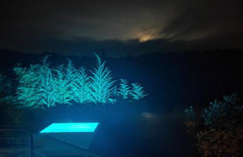 Casa do Rio - Photo 3