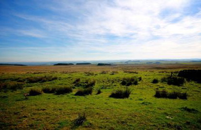 Shepherds Retreat - Photo 19