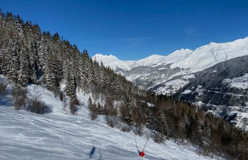 Chalet Violettes - Foto 50