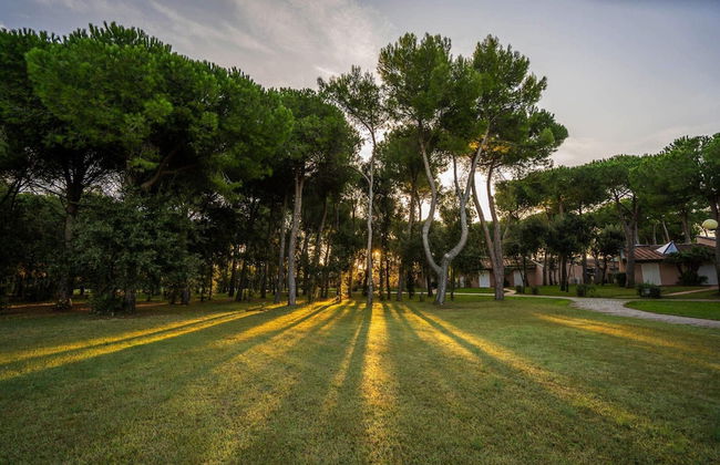 Bungalow in San Vincenzo With Pool - Foto 23
