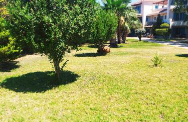 Fereniki Studios - Foto 51