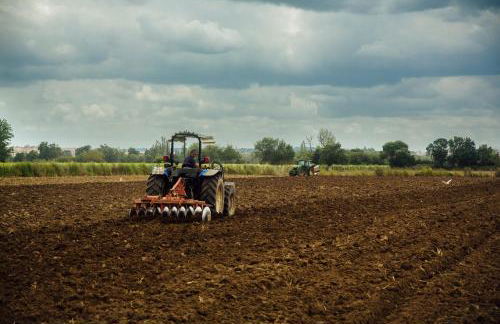 Quinta da Gafaria - Foto 63