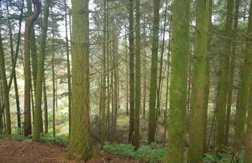 3 Bedroom Cottage - Hot Tub Garden Parking - Foto 23