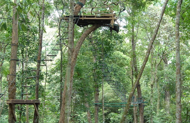 Permai Rainforest Resort - Foto 23