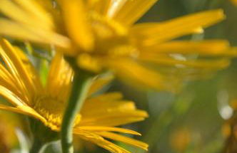 Natur-Aktiv-Hof Thiem - Foto 7