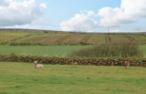 Chywolow Lodge - Photo 44