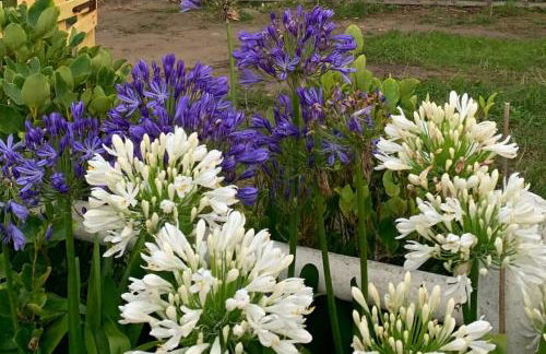 Vacances plages, mer, balades ou GR34 ! - Foto 47