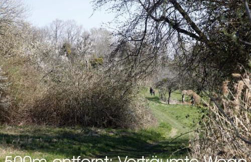 Passivhaus 750m vom Bodensee -- 2x E-bike inklusive -- Neubau 2019 am Ortsrand - Foto 20