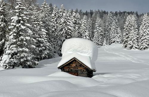 Casa del Roccolo - Photo 16