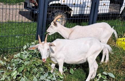 Haus Eselsblick - Foto 18