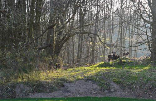 Villa Thormarcon am Plauer See für 20 Gäste, Sauna, Pool - Foto 40