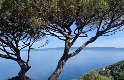 La roche aux mouettes Ile du Levant - Foto 17
