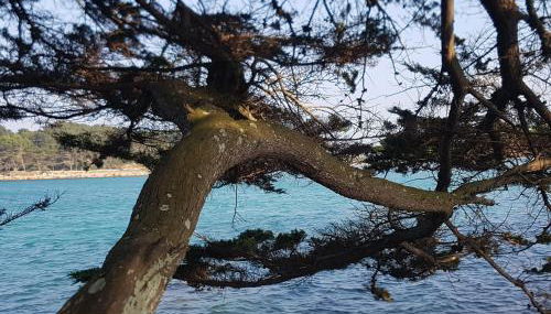 Les Menhirs - Photo 3