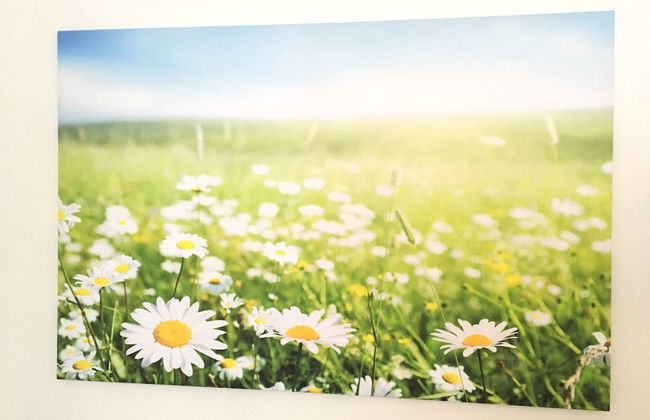 Flowerside - Foto 11