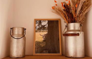 Le Chantoiseau - Foto 21