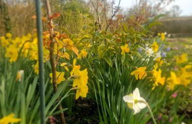 Grande Maison à la Campagne - Foto 8