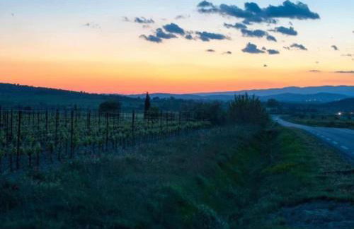 Villa in Pouzols with Private Pool & Vineyards - Foto 34