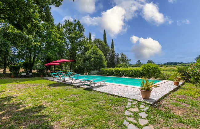 Tenuta La Colonna - Photo 8