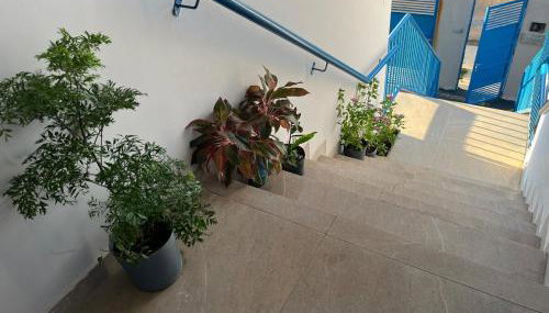 Residencial Jasmim Apto Standard 03 - Foto 5