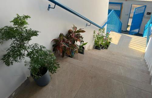 Residencial Jasmim Apto Standard 03 - Foto 5