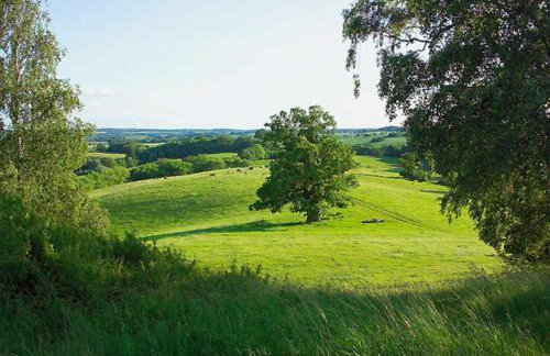 Familien-Ferienhaus unweit vom Kummerower See - Foto 4