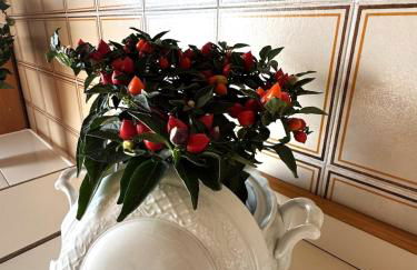 Dimora Cabiria - Foto 32