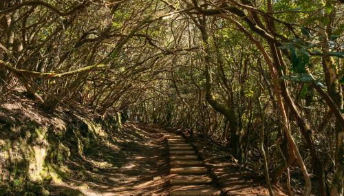 Casita Lofe - Foto 4