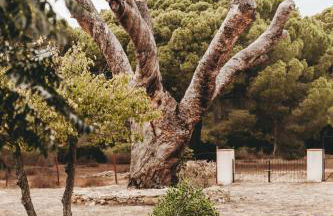 Dehesa de las Yeguas casa en finca privada con piscina y playa - Foto 37