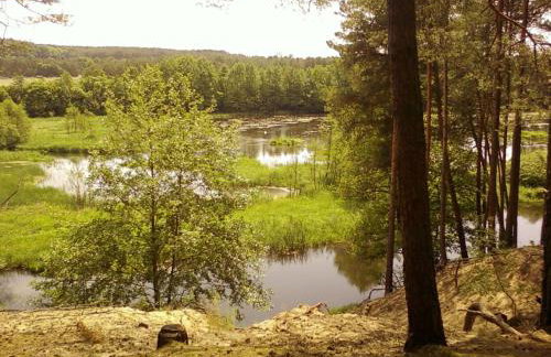 Agroturystyka Borówka - Foto 37