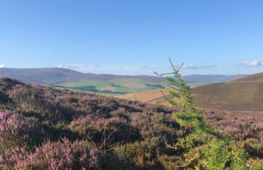 Oakbank - Comfort in the Glens! - Photo 21