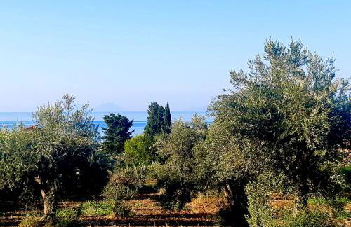 RELAIS COUNTRY HOUSE - TERRACE on AEOLIAN ISLANDS - Foto 8