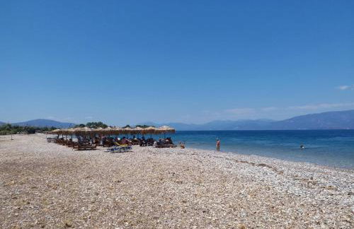 Summer Dreams Residence Digeliotika Beach - Foto 27