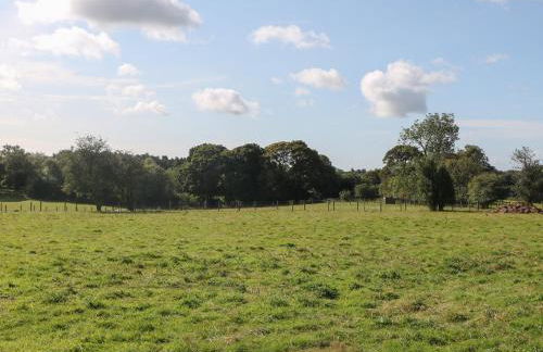 Belles View - Foto 24