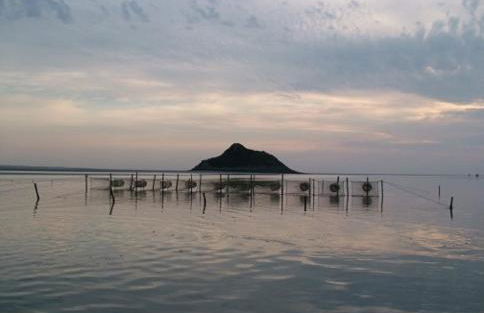 Gîte/Guest House close to the Mont Saint Michel - Foto 24