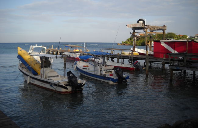 Mariposa Lodge - Foto 68