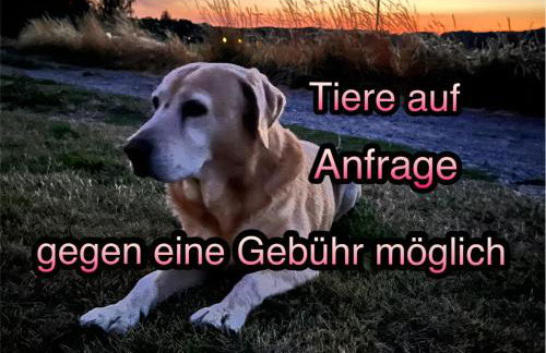 Wormis Apartment Heideblick bei Luckau - Foto 42