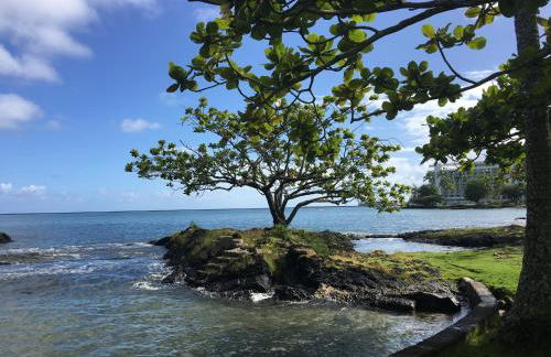Mediteranean style Ohana Rental / Garden Bungalow in Pahoa - Photo 24