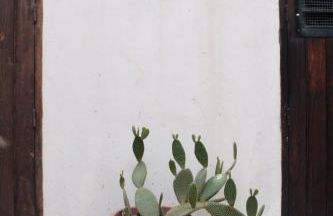 Speciale Apartment - Foto 30