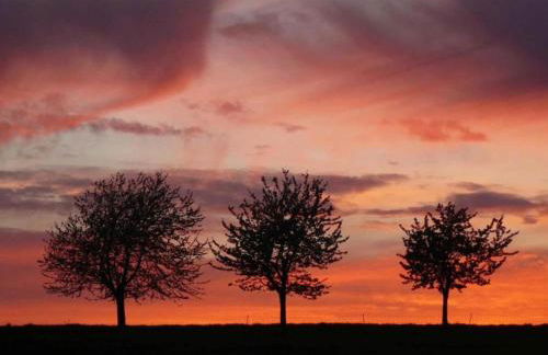 Hill-view Holiday Home in Dankerode near Lake and Hiking - Foto 68
