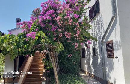 Eco Secluded apartments Zabodarski - Foto 80