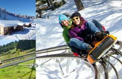 T2 PRALOUP 1600 bat Chanteclerc 6 personnes 36m2 avec chambre à part et 2 TV - Foto 34